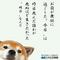 支出Dataメモ
