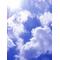 [D:F8EE][D:F99F]猪名㊥同盟[D:F99F][D:F8EE]