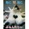 ねこ②[D:F946]ふぁんたじぃ