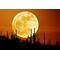 [V:476A]青[V:4769]空[V:476C]色[V:4F4F]