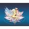 ★FAIRYTAIL★