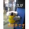 [D:F991]東洋牛久[D:F991]