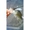 釣りキチな釣りバカへ