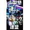 [D:F8A3]山梨懸ｱｰﾄﾄﾗｯｸ[D:F8A3]