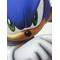 SONIC WORLD