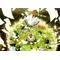 [V:4F55]ｴﾙｱｰｸ[V:4F55]
